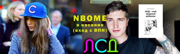 амф Каменногорск