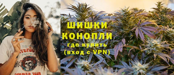 амф Каменногорск