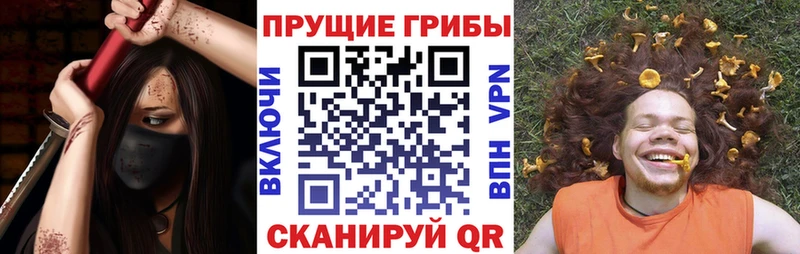 Псилоцибиновые грибы Magic Shrooms  кракен tor  Суджа 